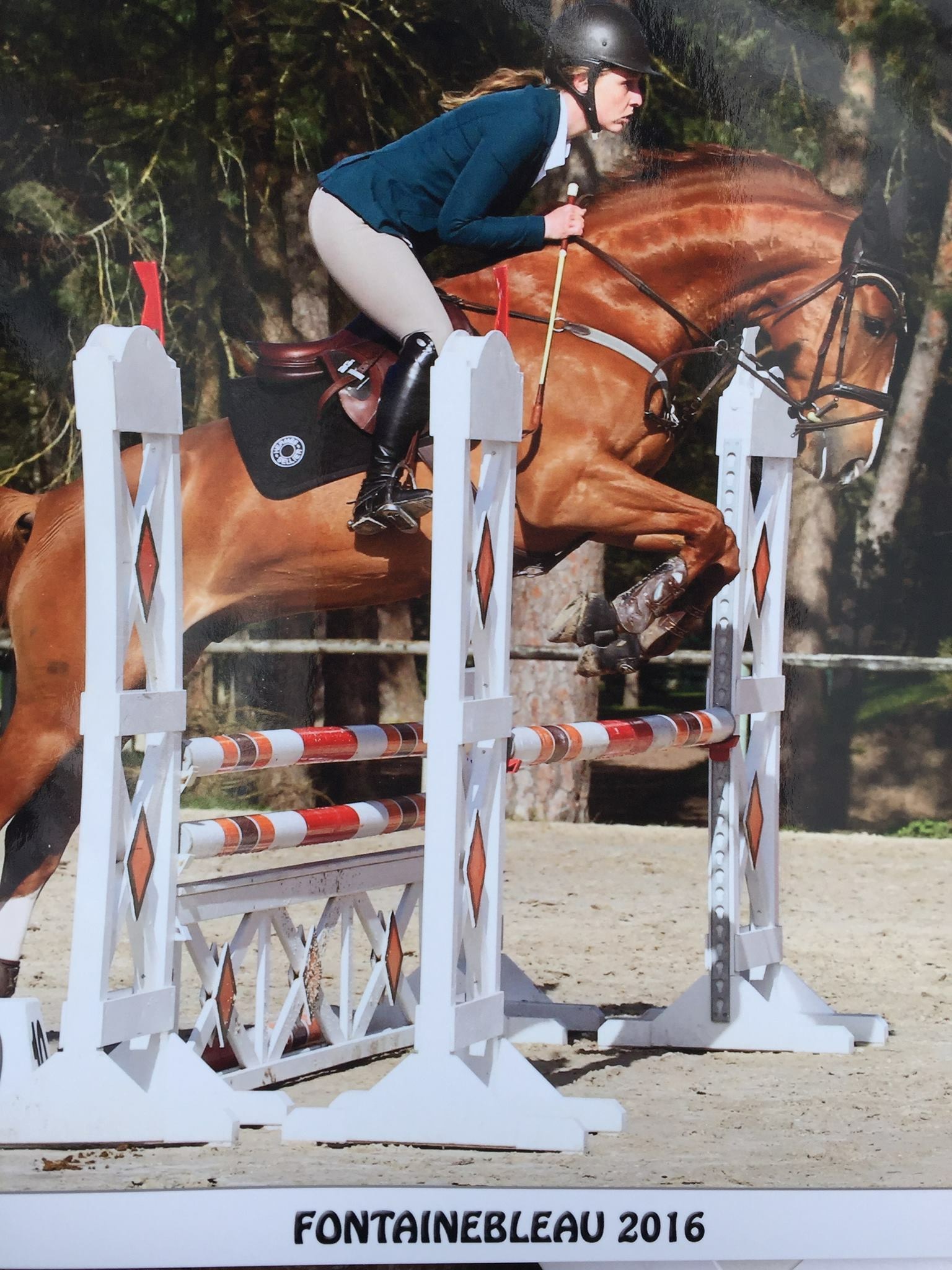 Steeplechase Sport Équipement Cheval Courses Vêtement Vêtement