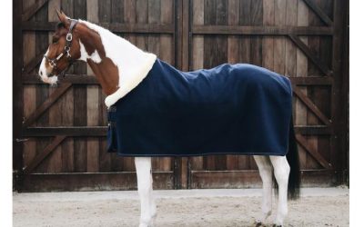 Comment avoir le cheval le plus propre en concours ?