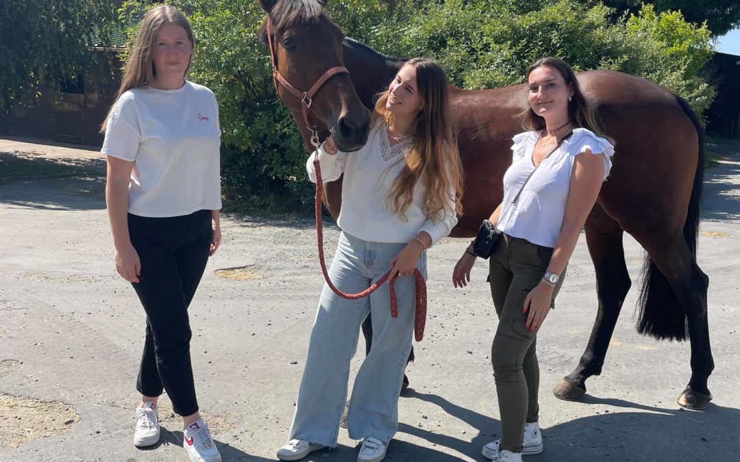 3 choses à savoir sur Passion, la mascotte West Cheval