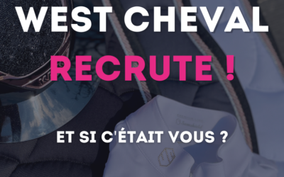 Offre d’emploi – Assistant relation client web