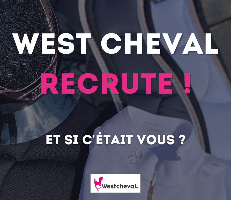 Offre d’emploi – Assistant relation client web