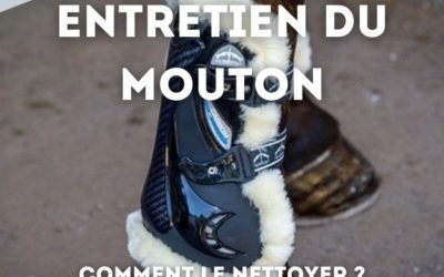 L’entretien de mon matériel d’équitation en mouton