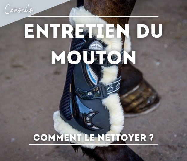 L’entretien de mon matériel d’équitation en mouton