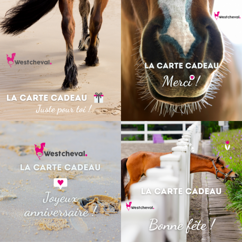 Affiche Poster imprimé HD - Cavalier et cheval – Chevaux Passion