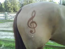 Tonte cheval Musique